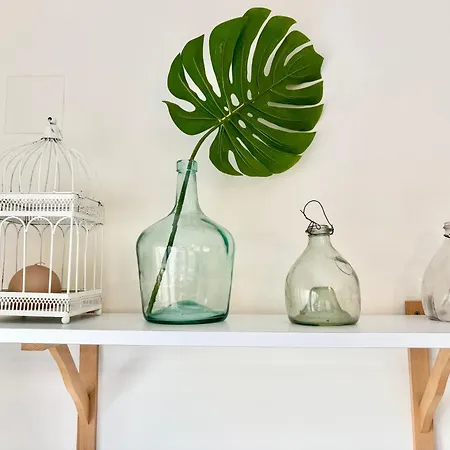 Sun & Sea ダイムス