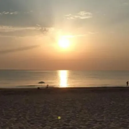 Sun & Sea * ダイムス